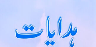 ہدایات مولانا سید ابوالاعلیٰ مودودیؒ
