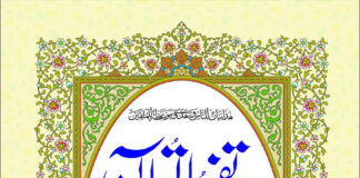 تفہیم القرآن (جلدسوم)