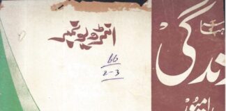 ماہنامہ زندگی فروری 1981