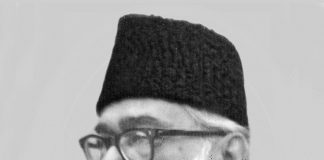 Syed Maududi