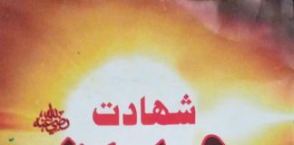 shahdat e hussain